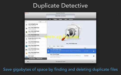 Duplicate Detective 1.94 MacOSX的图片1