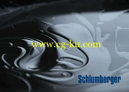 Schlumberger Petrel 2014.2的图片1