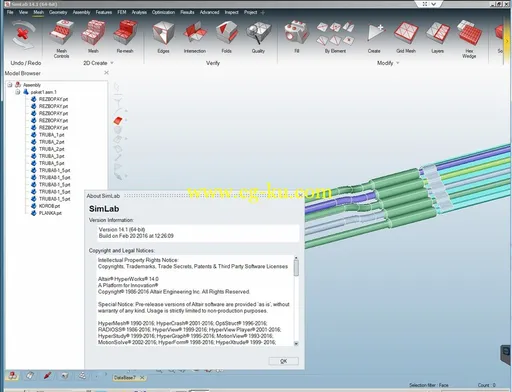 Altair SimLab 14.1 X64的图片3