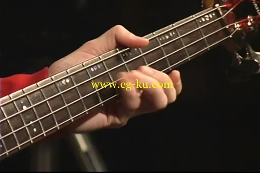 Billy Sheehan – Basic Bass的图片2