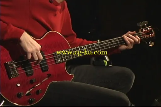 Billy Sheehan – Basic Bass的图片3