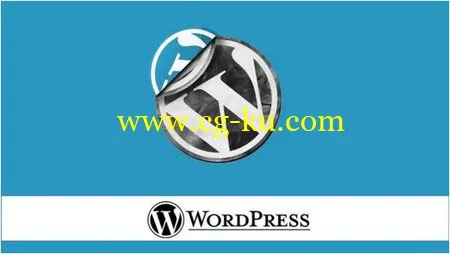 WordPress Video Tutorial For The Absolute Beginner的图片1