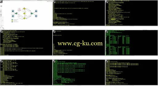 INE – The CCIE Candidate’s Guide To MPLS L3 VPNs的图片2