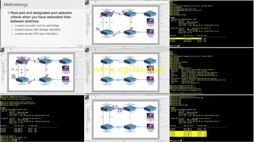 INE – The CCNA Candidate Guide To The Spanning Tree Protocol的图片2