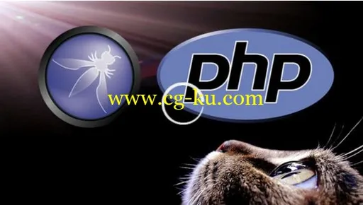 Learn PHP Security With OWASP Top 10的图片1