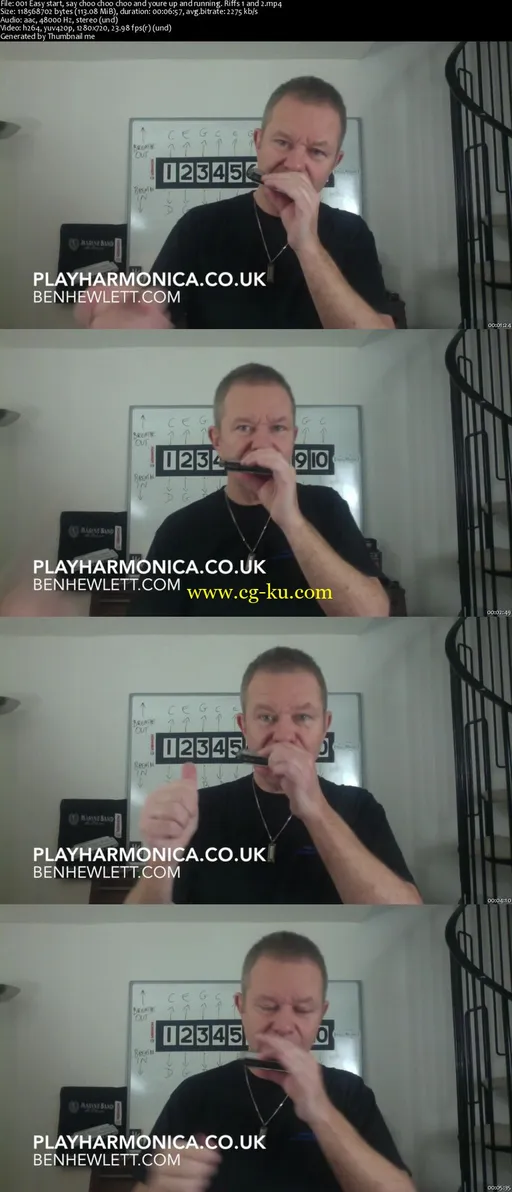 Play Country Blues On The Harmonica And Dazzle Your Friends!的图片2