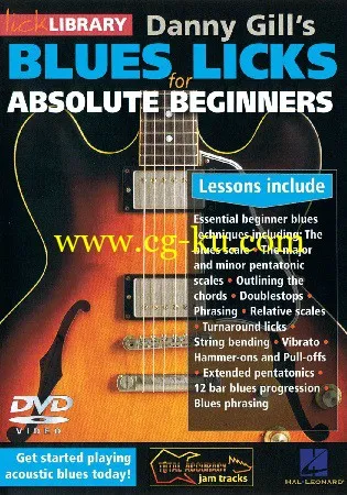 Danny Gill’s – Blues Licks For Absolute Beginners 布鲁斯乐句初学者的图片1