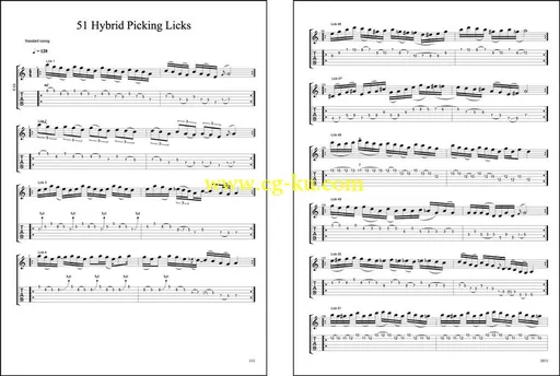 Lick Library – Stuart Bull – 51 – Hybrid Picking Licks – DVD (2013) 吉他课程的图片4