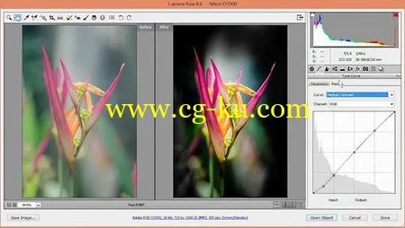 Lynda – Nondestructive Exposure and Color Correction with Photoshop CC (2014)的图片1