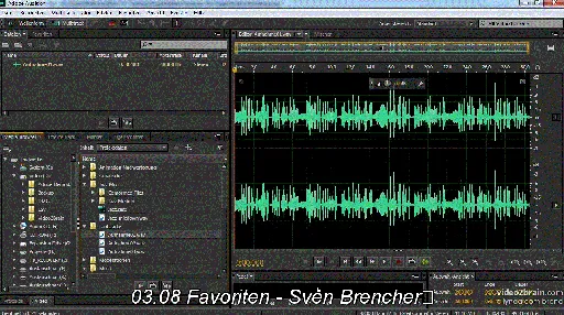 Audition CC – Tonmischung In Der Videoproduktion Funktionen, Werkzeuge, Expertentipps的图片2