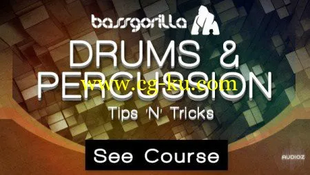 Bassgorilla – Drums And Percussion – Tips And Tricks的图片1