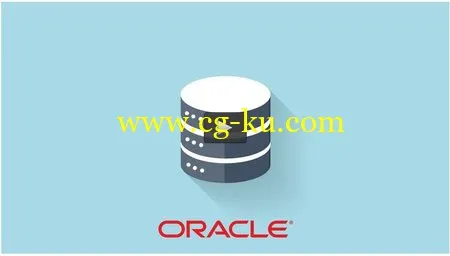 Get Oracle Flying In AWS Cloud的图片1