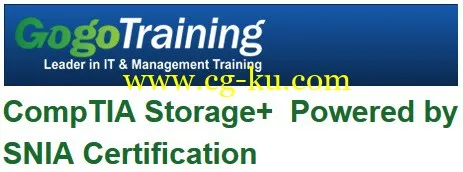 GogoTraining – CompTIA Storage+  Powered By SNIA Certification的图片1