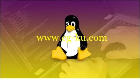 PHP Shell Scripting For Linux/Unix Administrators的图片1