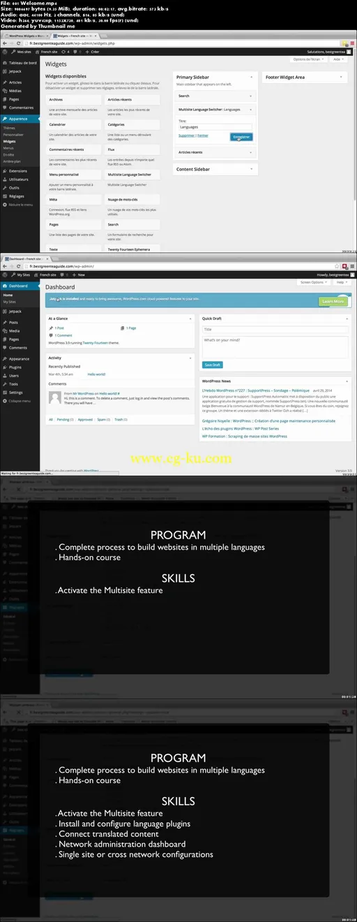 Create Multilingual Websites Using Wordpress的图片2