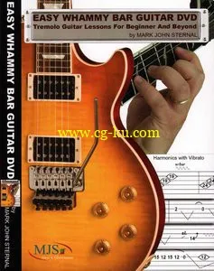 Easy Whammy Bar Guitar DVD – Tremolo Guitar Lessons For Beginner And Beyond的图片1