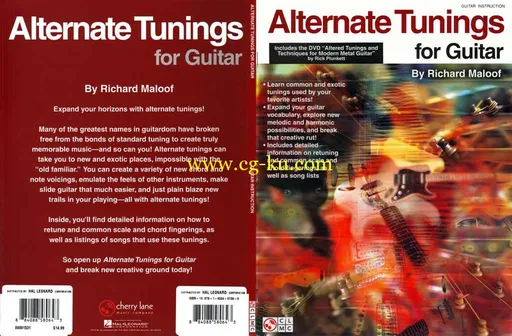 Alternate Tunings For Guitar的图片1