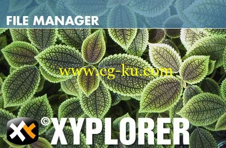 XYplorer 16.50.0000 Multilingual + Portable的图片1