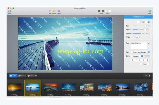 Watermark Plus 1.5.6 MacOSX的图片1