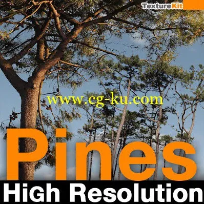 Turbosquid – Pines High Resolution的图片1