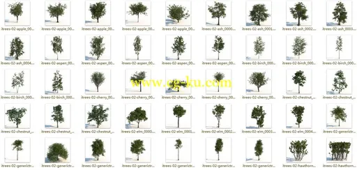 itrees-02  (树木)的图片1