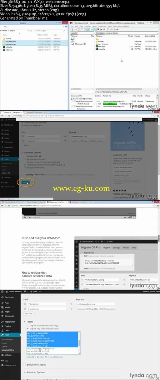 Lynda – WordPress Plugins: Moving WordPress With WP Migrate DB的图片2