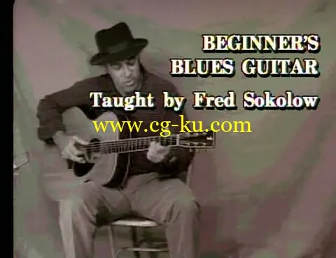 Beginner’s Blues Guitar的图片2