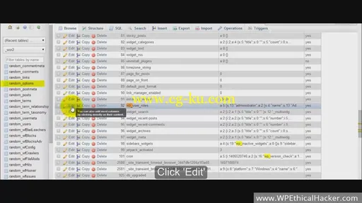 WordPress Security The Ethical Hacker Way (2015)的图片3