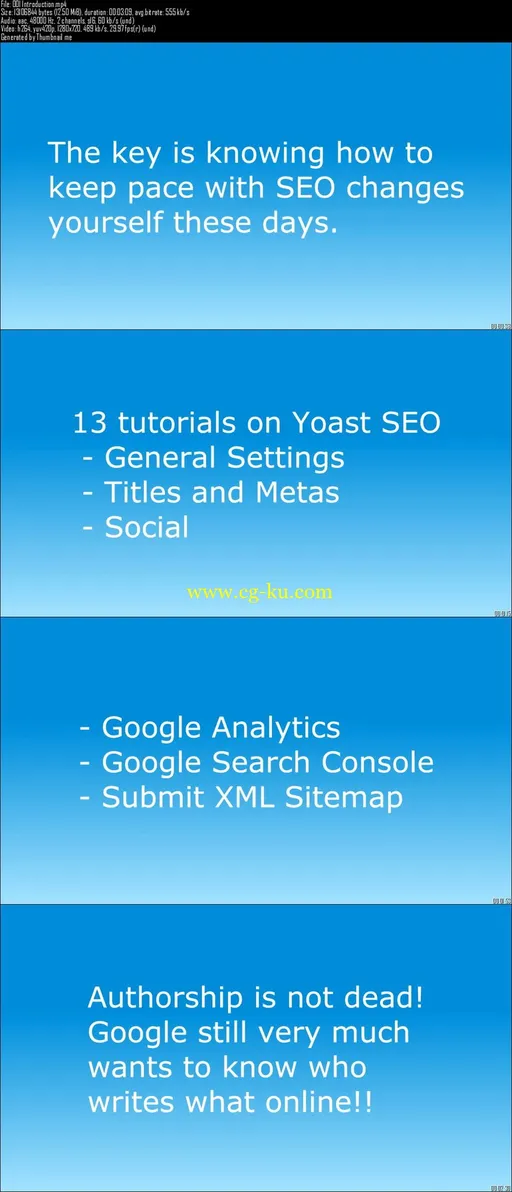 DIY SEO For WordPress的图片2