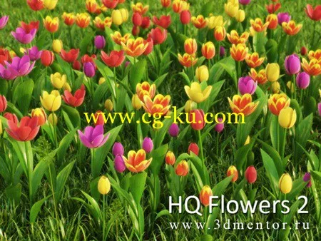 3DMentor – HD Flowers vol. 2Tulips的图片1