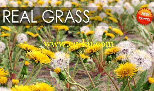 VIZPARK Real Grass for Cinema4D, Modo OBJ, FBX LightWave的图片1