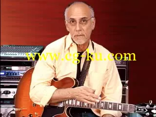 TrueFire – Larry Carlton – 335 Blues (2007)的图片2