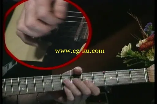 Ray Flacke – Country Telecaster Virtuosity的图片3