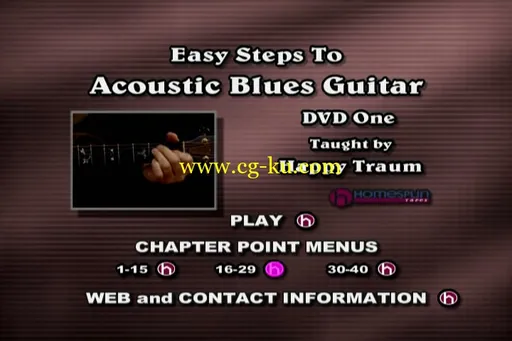 Easy Steps To Acoustic Blues Guitar – Two DVD Set的图片2