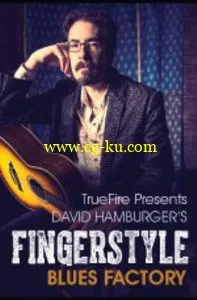 Truefire – David Hamburger’s Fingerstyle Blues Factory (2014)的图片1