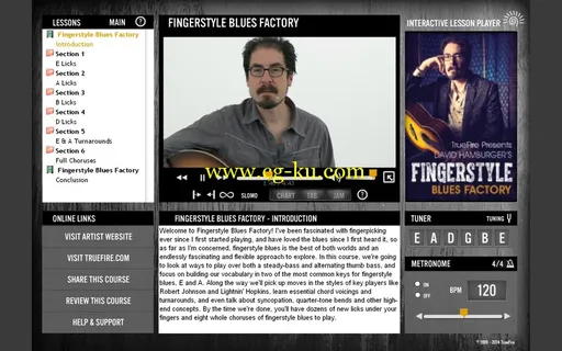 Truefire – David Hamburger’s Fingerstyle Blues Factory (2014)的图片3