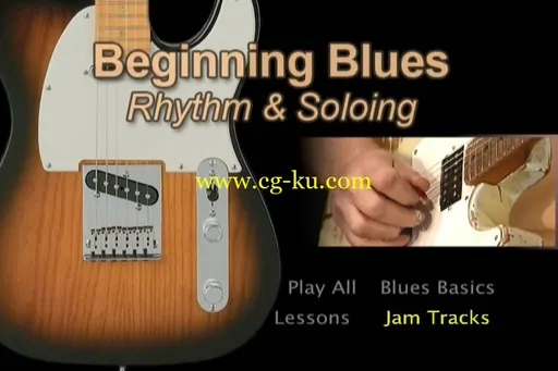 Beginning Blues Guitar – Rhythm And Solos的图片2