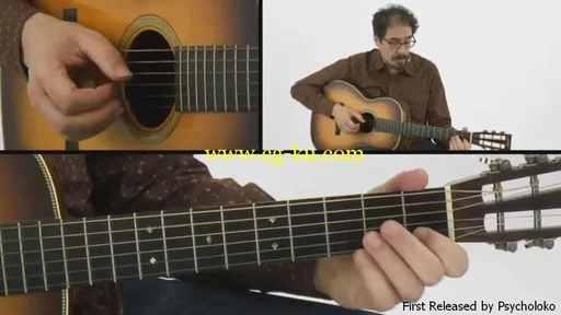 Truefire – David Hamburger’s Essentials – Fingerstyle Blues (2015)的图片2