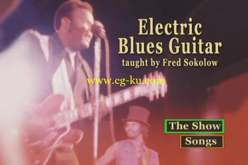 Electric Blues Guitar Taught By Fred Sokolow的图片2