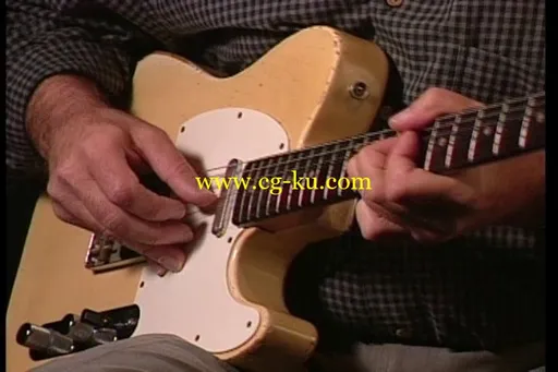 Electric Blues Guitar Taught By Fred Sokolow的图片4