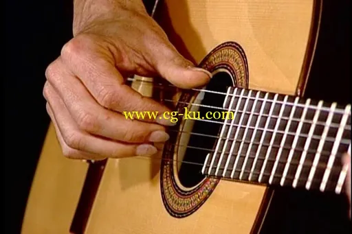 The Brazilian Sound For Fingerstyle Guitar的图片4