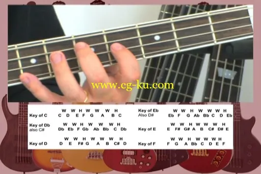 Easy Bass Guitar Scales DVD: Over 50 Common And Exotic Scales And Modes For Bass的图片2