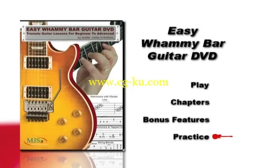 Easy Whammy Bar Guitar DVD – Tremolo Guitar Lessons For Beginner And Beyond的图片2