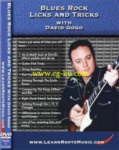 Blues Rock Licks And Tricks With David Gogo的图片1