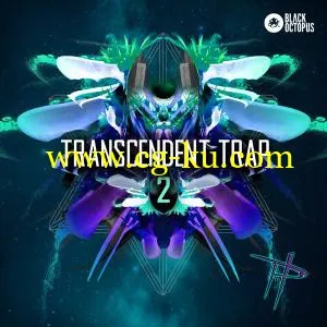 音效下载Black Octopus Sound Transcendent Trap 2 WAV的图片1