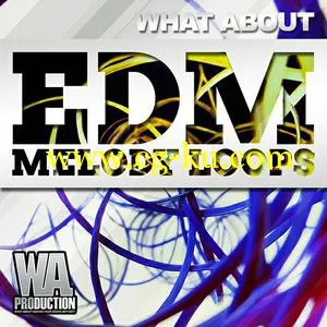 音效下载W. A. Production – What About Melody Loops WAV MiDi的图片1