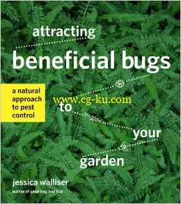 Attracting Beneficial Bugs To Your Garden: A Natural Approach-P2P的图片1