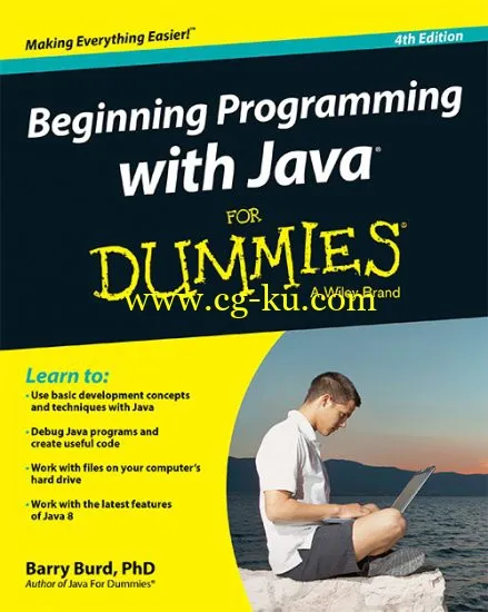 Beginning Programming With Java For Dummies, 4th Edition 2014-P2P的图片1