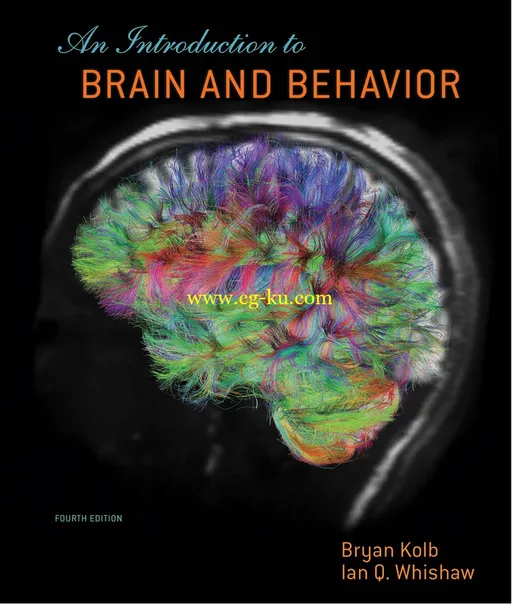 An Introduction To Brain And Behavior-P2P的图片1