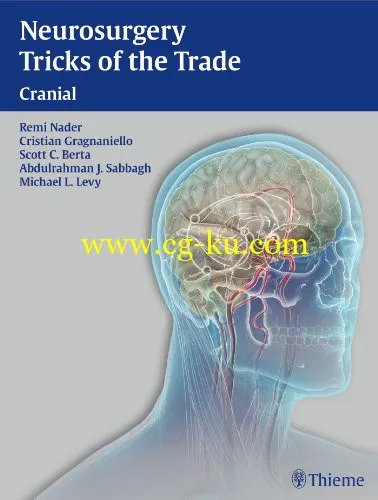 Neurosurgery Tricks Of The Trade 2014-P2P的图片1